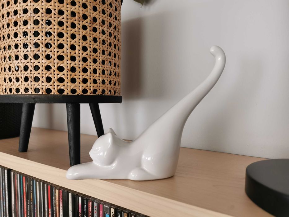 Dla dziecka fana kotów