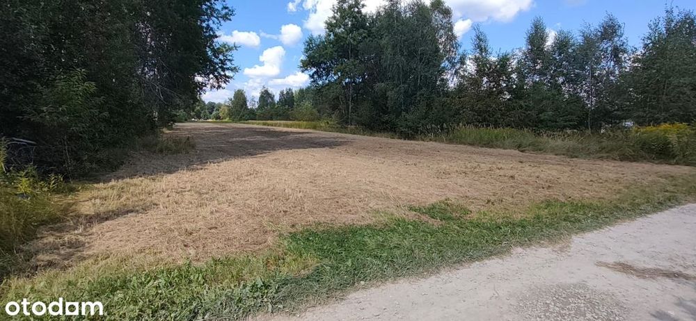 Dom – Krosno - Widok 3