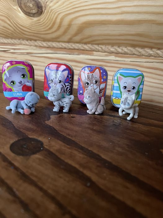 Котики в домиках