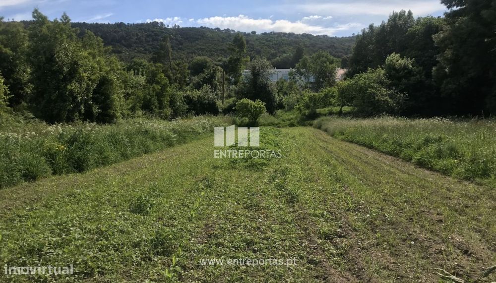 Terreno de construção para venda, Cristelo, Caminha