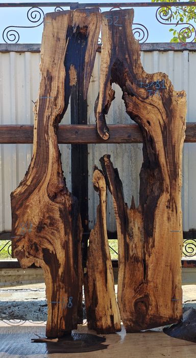 Грецький горіх, груша, ясен, шовковиця, слеб, зріз,дошки, слэб, срез