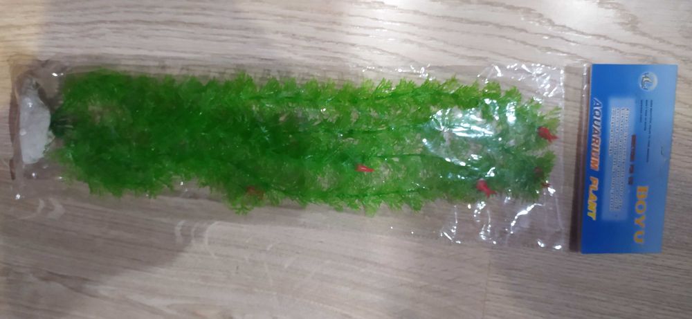 Декоративні водорості для акваріума