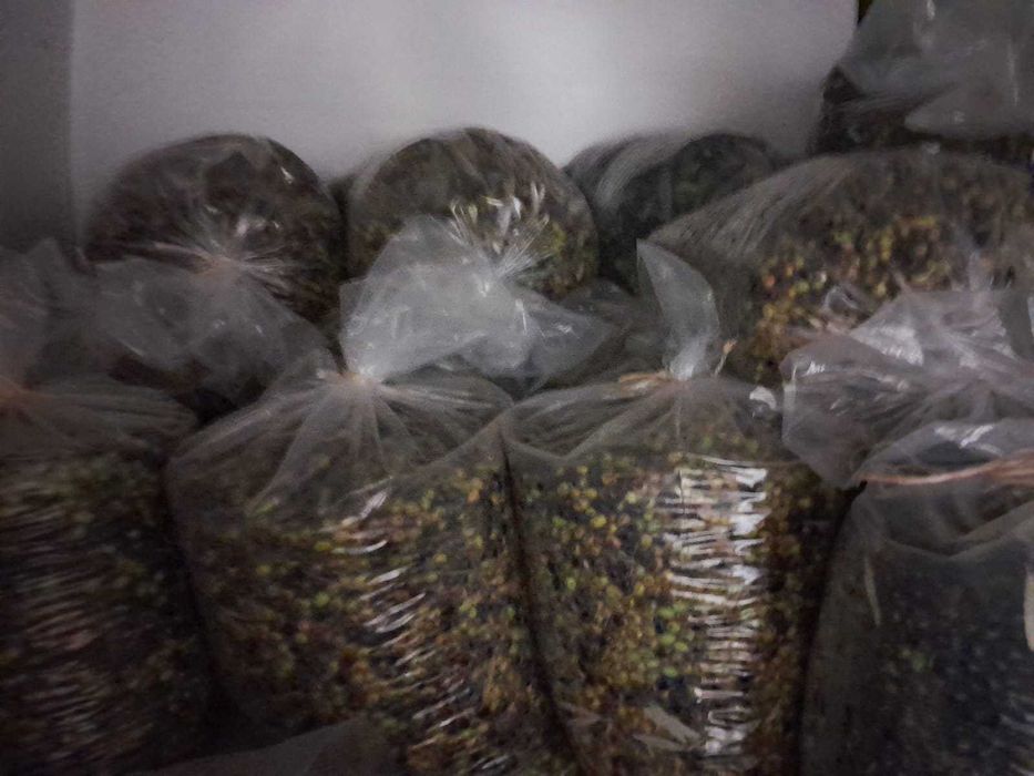 Azeite 100% BIOLÓGICO