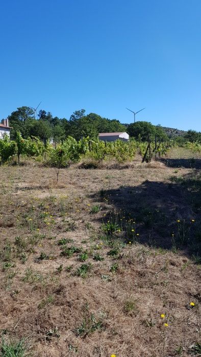 Lote de terreno perto do Douro