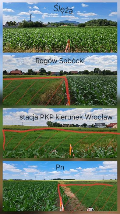 Działki budowlane w Rogowie Sobóckim — pod samym Masywem Ślęży!