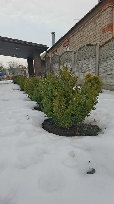 Продам будинок, Бабаи, 120 м2, дизайн проект, Ексклюзив