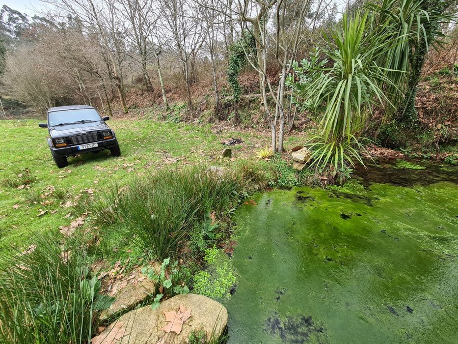 Rústico, com cerca de 7.500 m2 ou mais