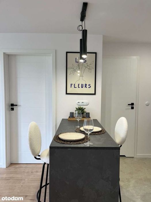 3 pokoje po remoncie I Staw Amelung I DTŚ 500m I Bezpośrednio