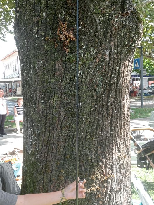 Cana de pesca de três partes com carrinho