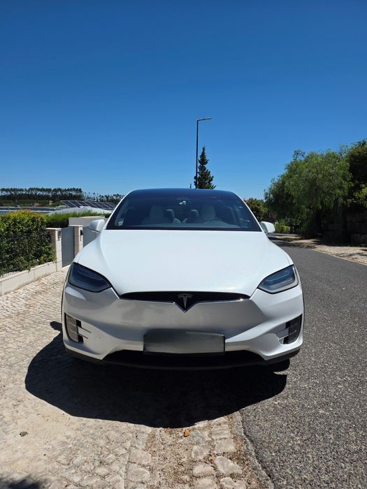Tesla X 100D 2017