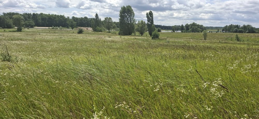 Продаж земельної ділянки біля річки