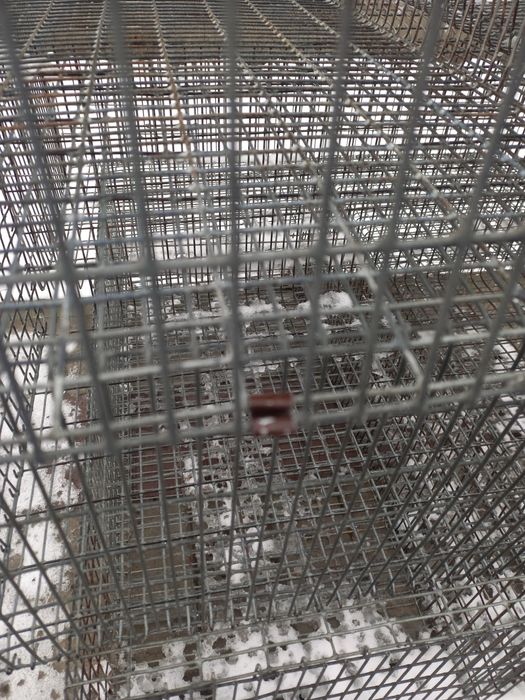 Клітка (клітки) для тварин