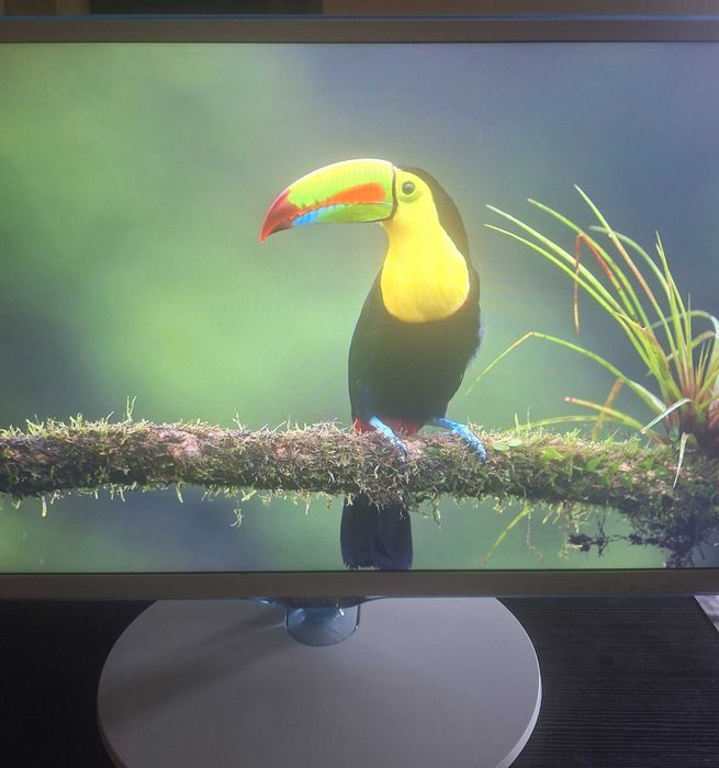 Монитор 24" Samsung S24D391HL (PLS / Full HD / HDMI) — в идеале