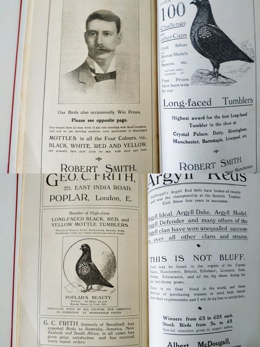 Long Faced Tumblers And all About them, C. A. House 1911 pombos