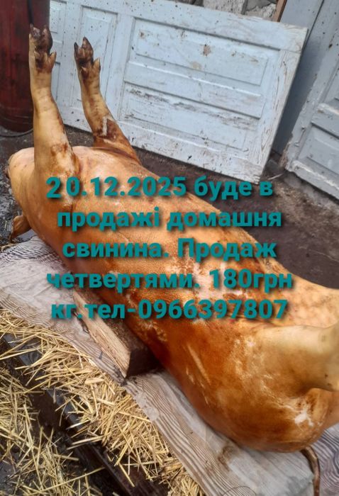Продаж свинини  частинами