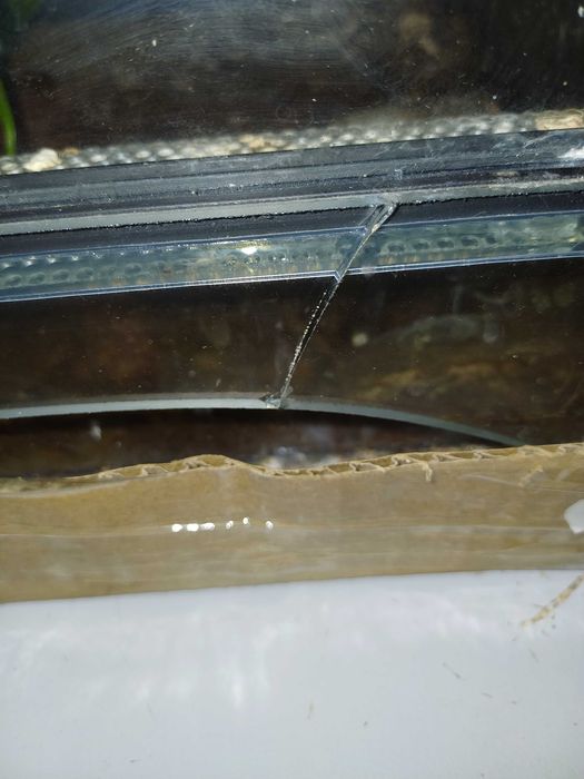 Terarium urzywane