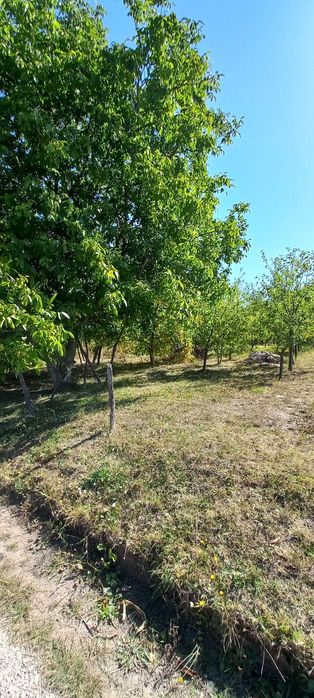Продам приватизовану ділянку 8 соток під забудову / дачу, с. Пашківці (СТ Яблуня-2)