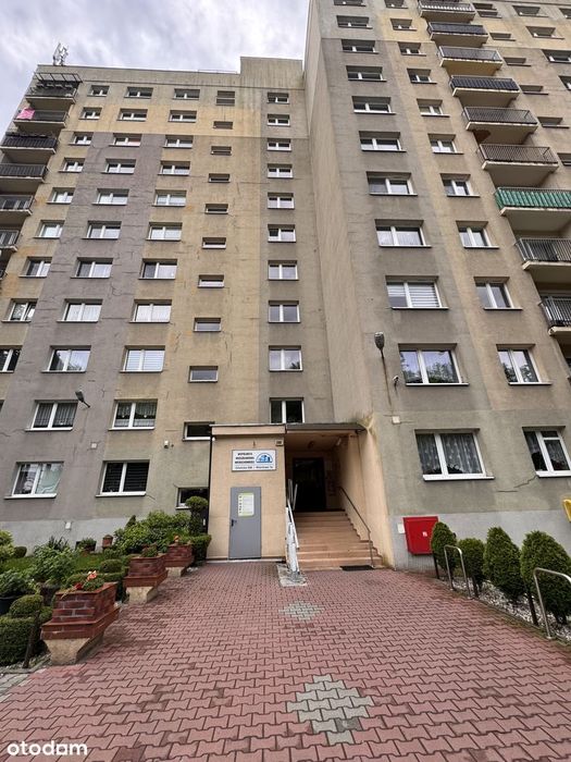 Mieszkanie, Katowice