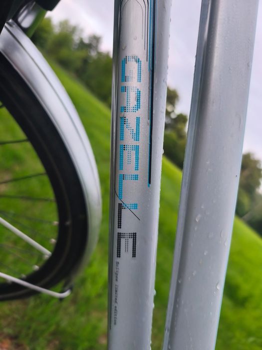 Piękna Gazelle Eclipse | Rower miejski | Damka | Rama 53 | Stan BDB | Nexus 8 | Holandia |