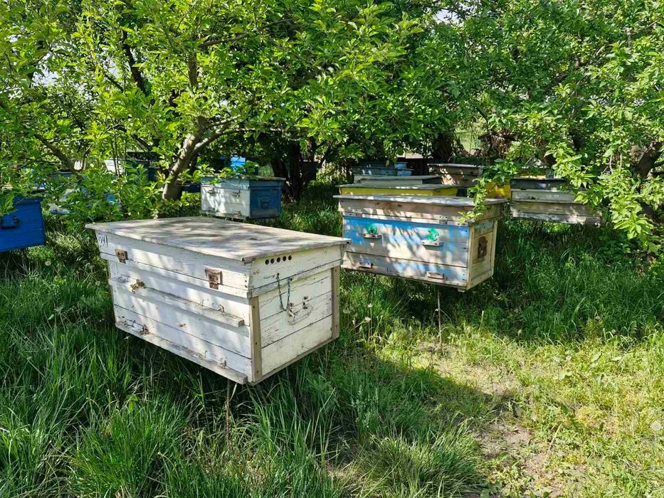 Продам вулики лежаки б/в