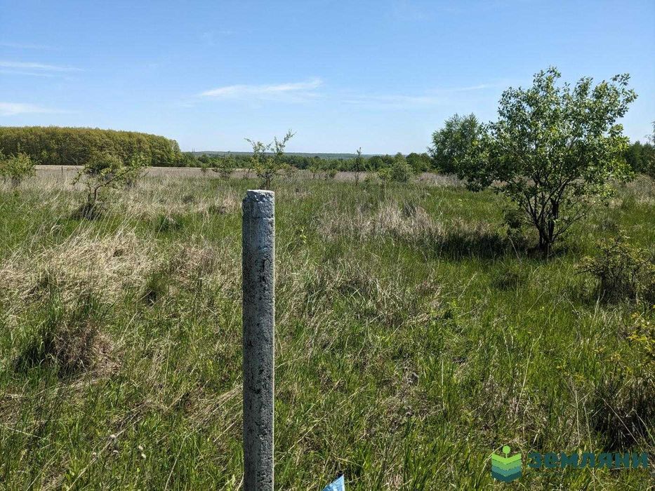 Продається земельна ділянка 12 соток під будівництво в с.Колодіївка (5)