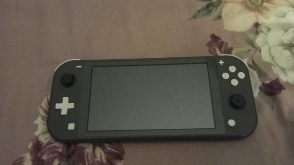 Nintendo switch lite