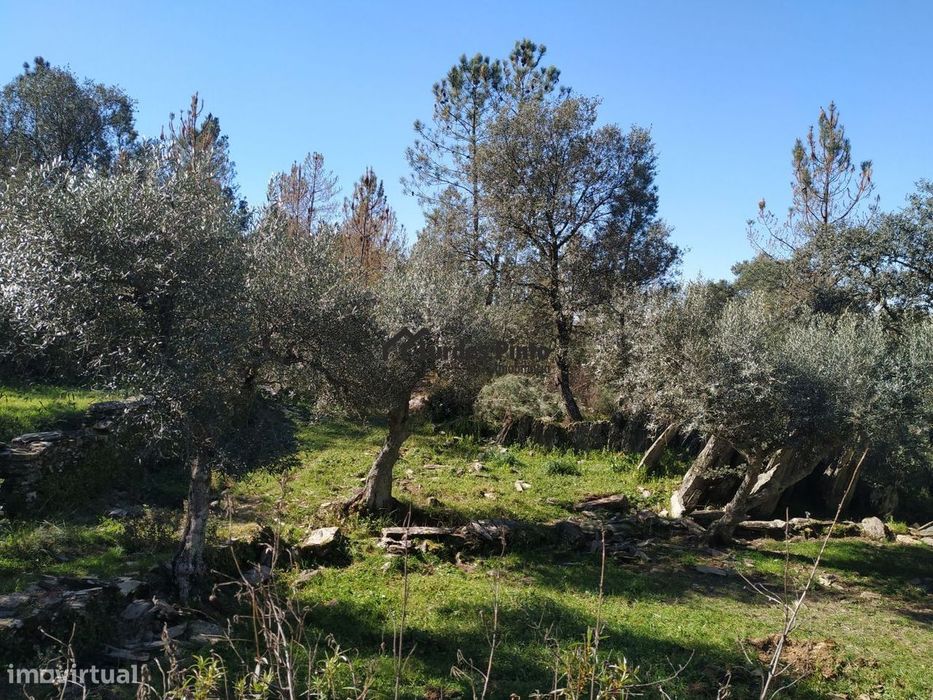 Plot of Land in Benquerenças