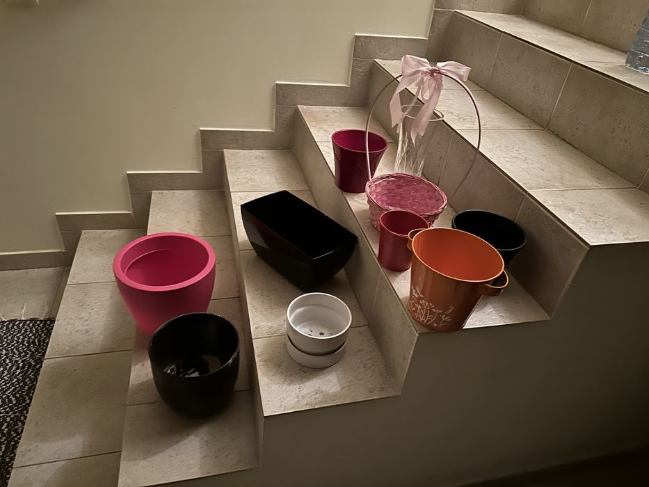 Vasos plantas variados