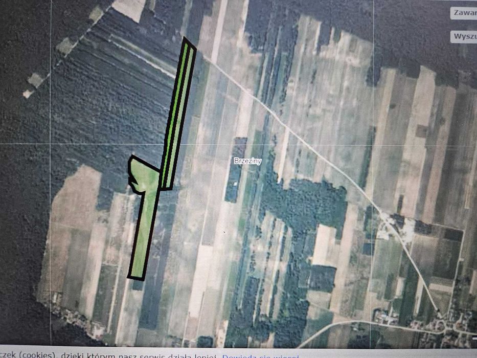 Sprzedam działkę rolną w Brzezinach 6,82 ha gm. Szydłów pow. staszowski - Widok 3