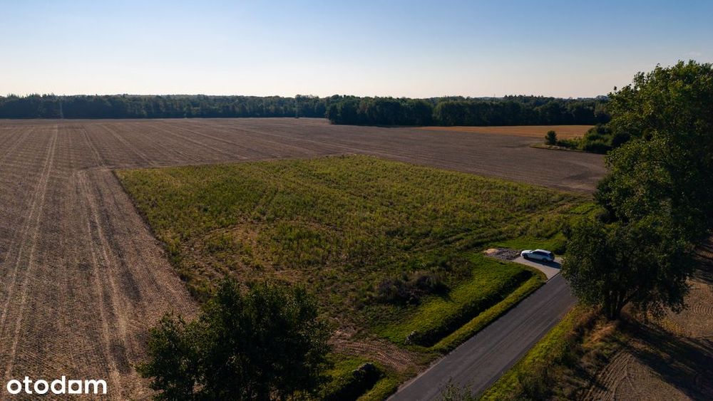 Działki pod dom | Olchowo | 1200 m² | 99 zł/m²