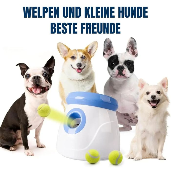 BOT automatyczna wyrzutnia piłek dla psów 3 piłki niebieskie 5 cm