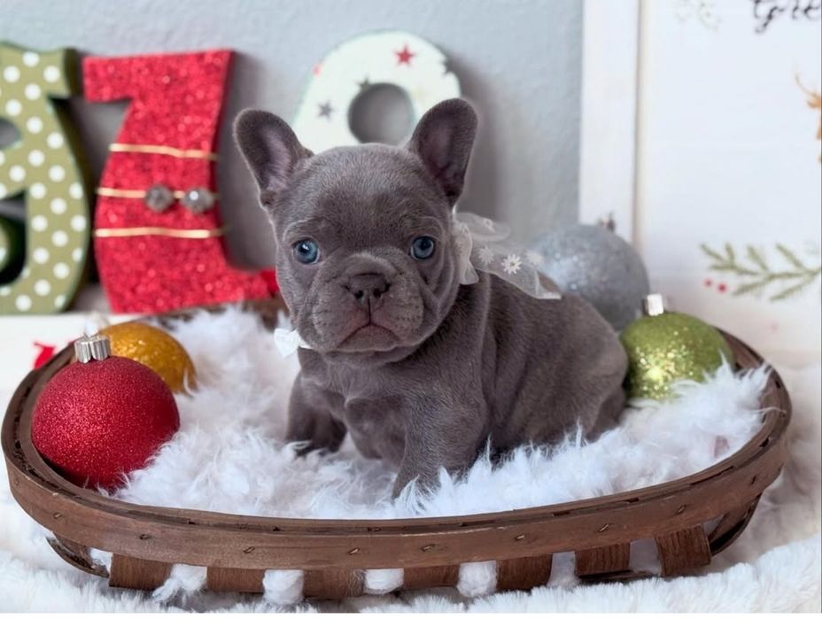 Ляльковий хлопець блакитний