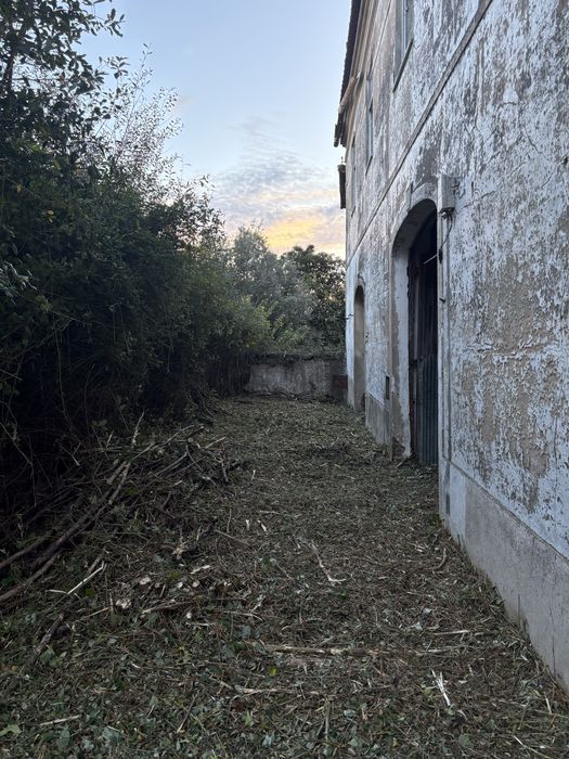 Limpeza / manutencões de terrenos