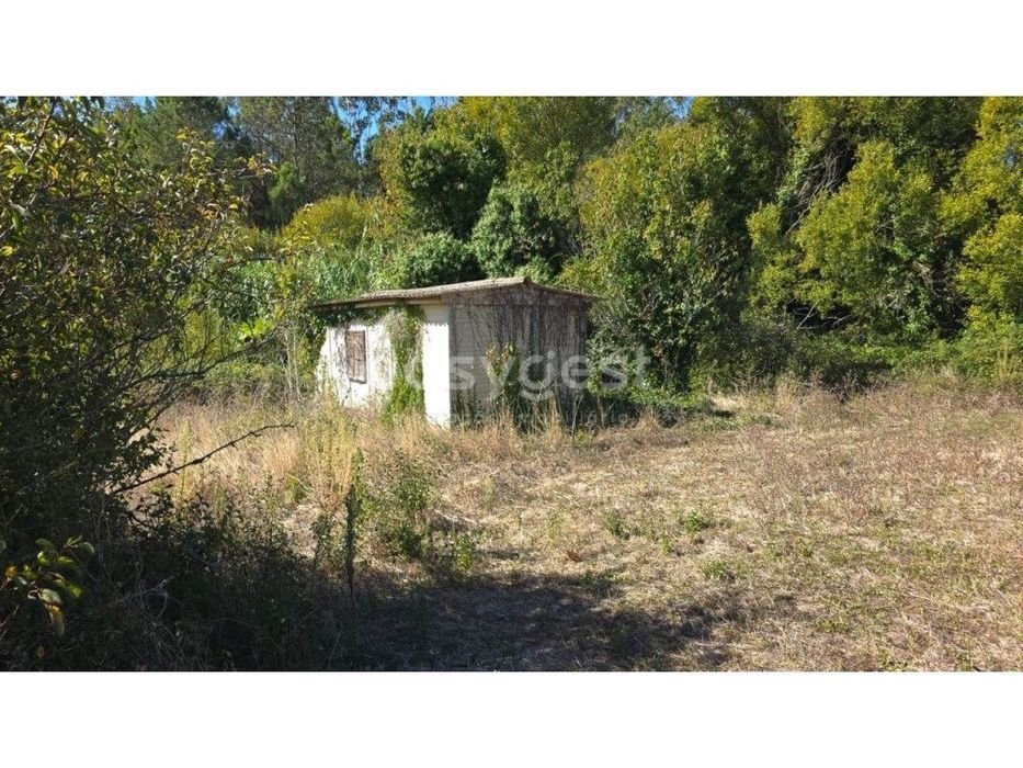 Terreno Rústico com 6200m2 e Casa de Madeira Licenciada - Região Oeste