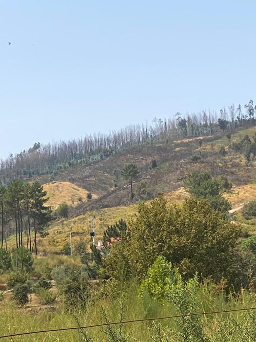 4 Lotes de terreno rusticos 2 com possibilidade construcao