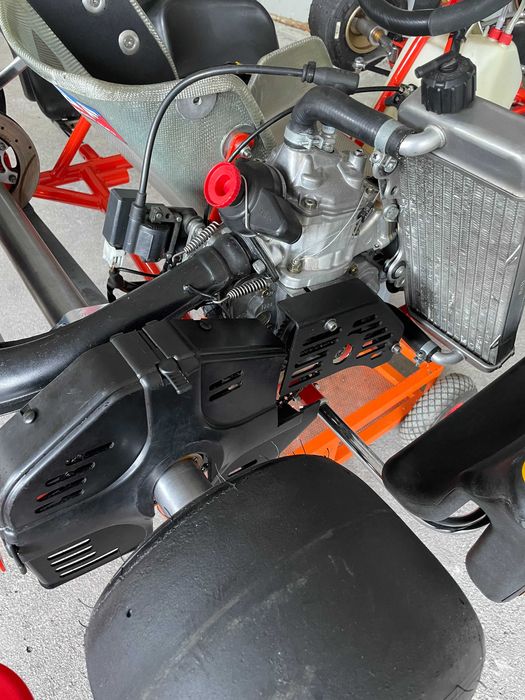 Kart Intrepid c/Rotax FR125 Max