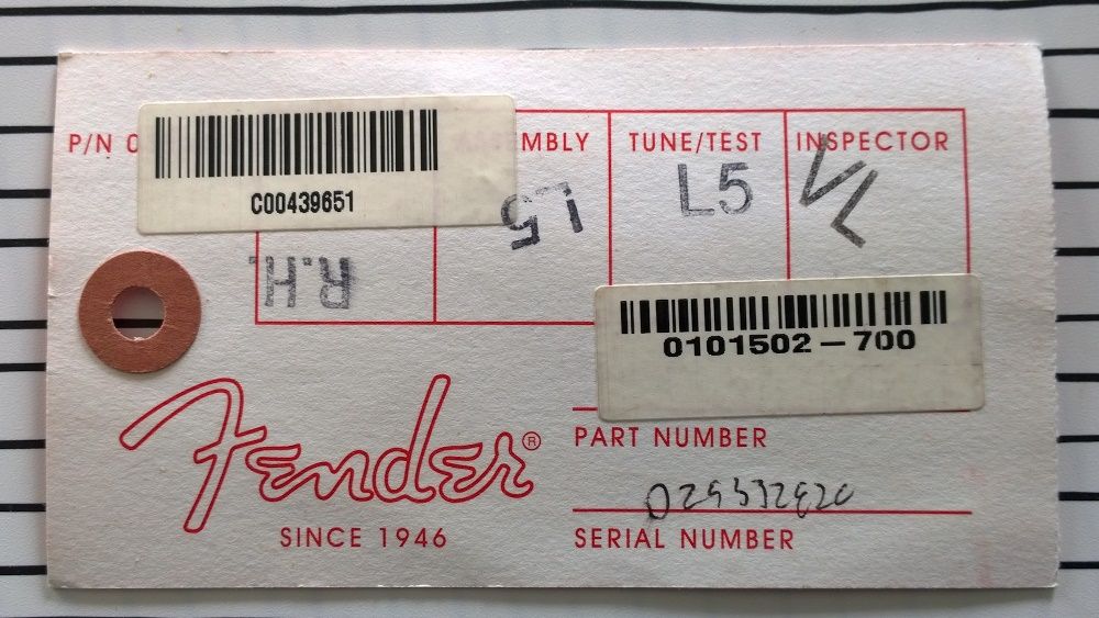 Fender (Made in USA)