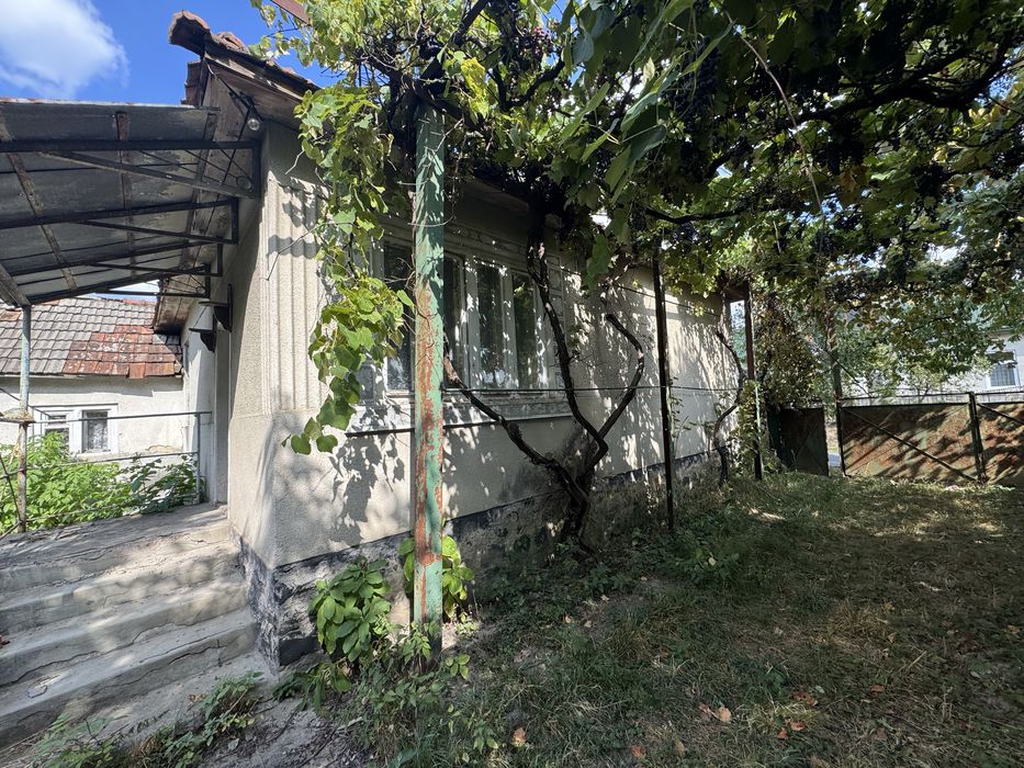 Продаж будинку Велика Визниця