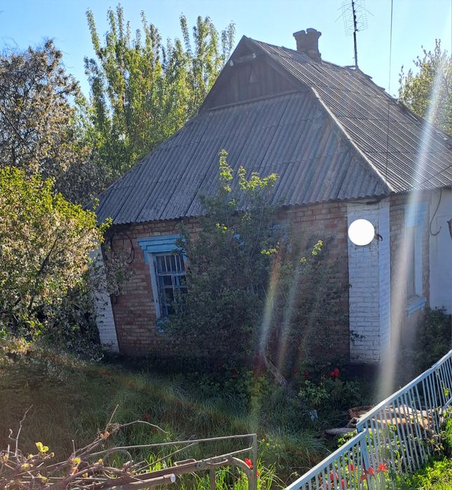 Продаю будинок з великим фруктовим садом