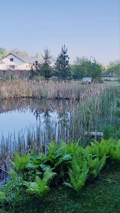 Piękna działka budowlana 2100 m² | Domek | Staw | Media | Anielew