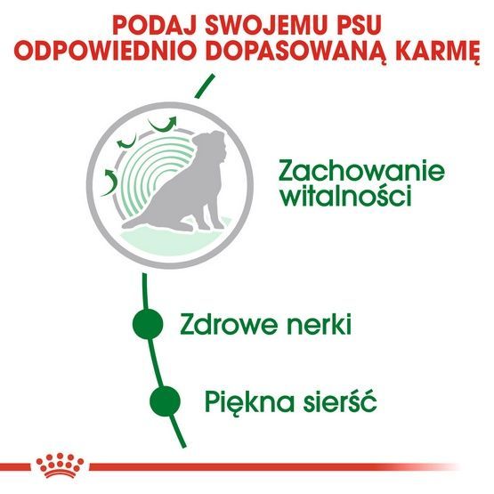 Karma opracowana dla psów małych ras po 12 roku życia Royal Canin 800g