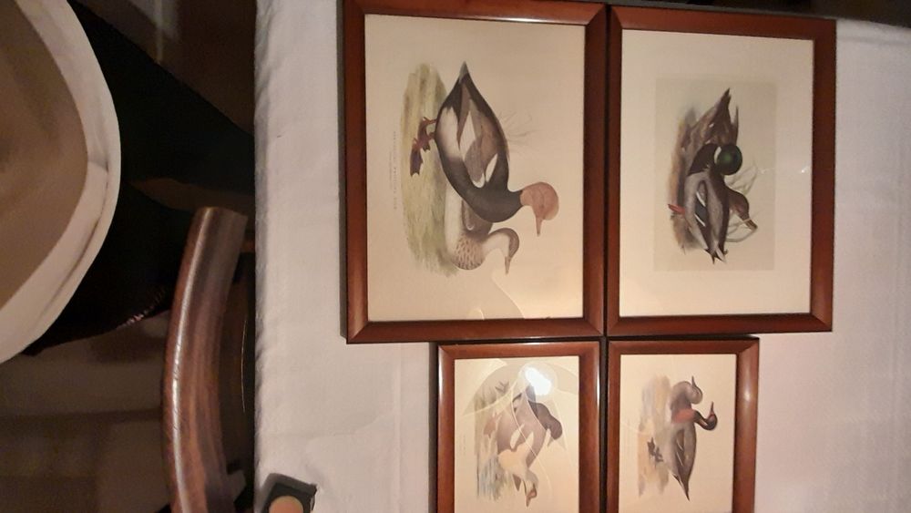 4 gravuras, 2 medidas 44x33 cms + 28x22 cms