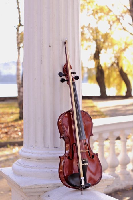 Уроки гри на  скрипці  онлайн  репетитор  вчитель  музика