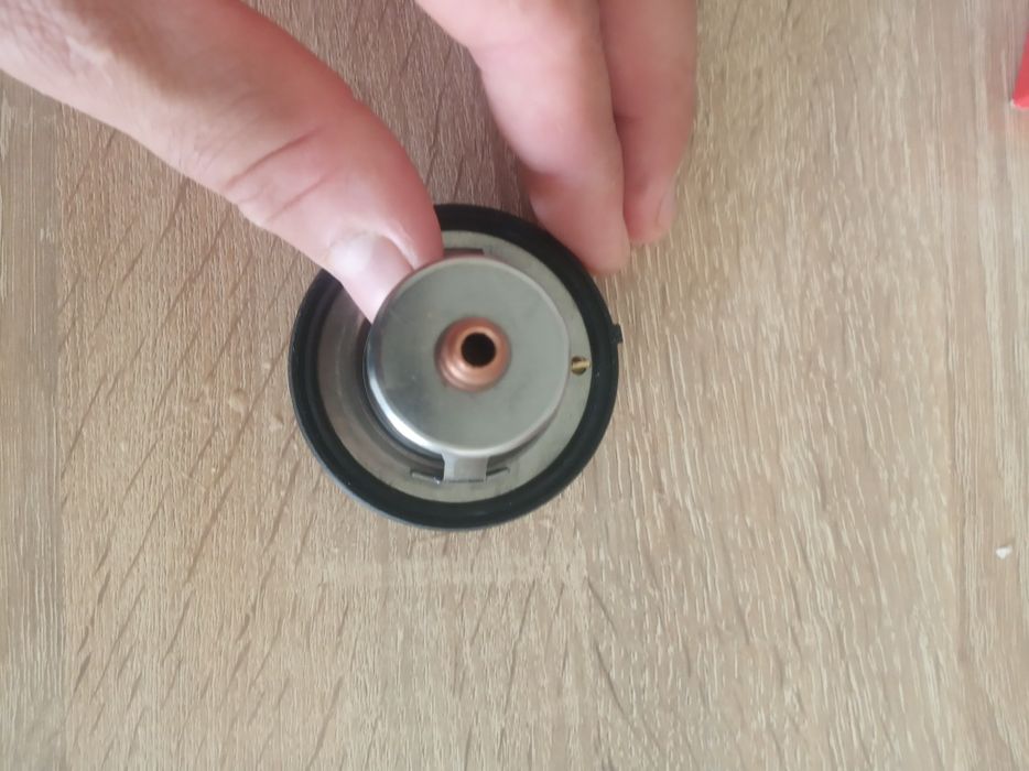 Термостат рабочий.