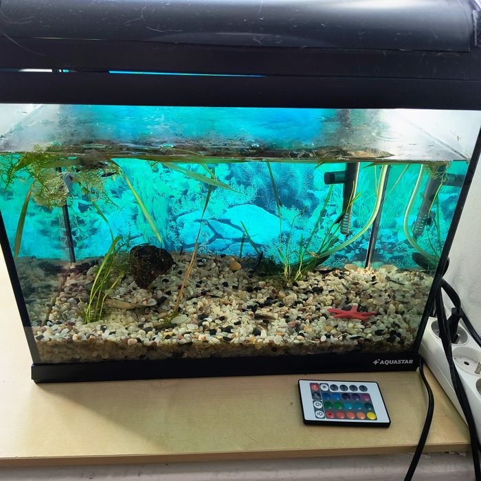 Sprzedam akwariu 54l