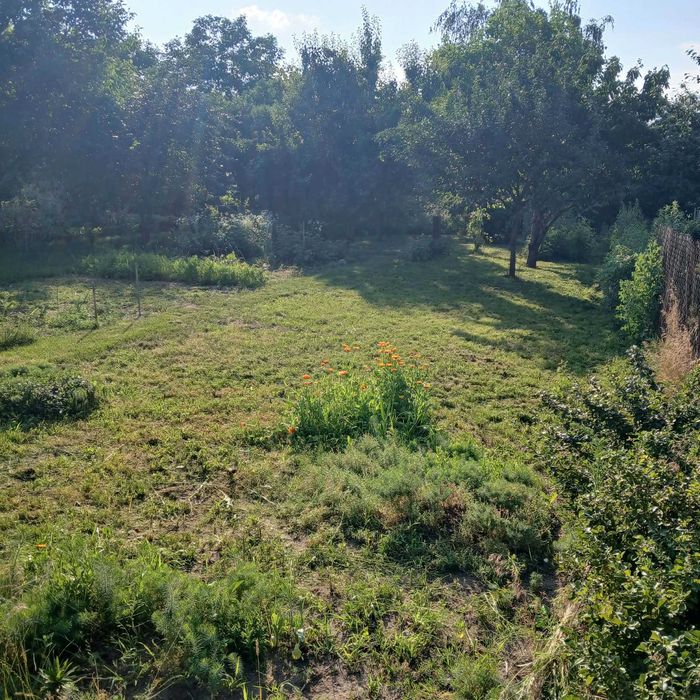 Działka ROD "Kolejarz", ul. Ściegiennego w Sierpcu