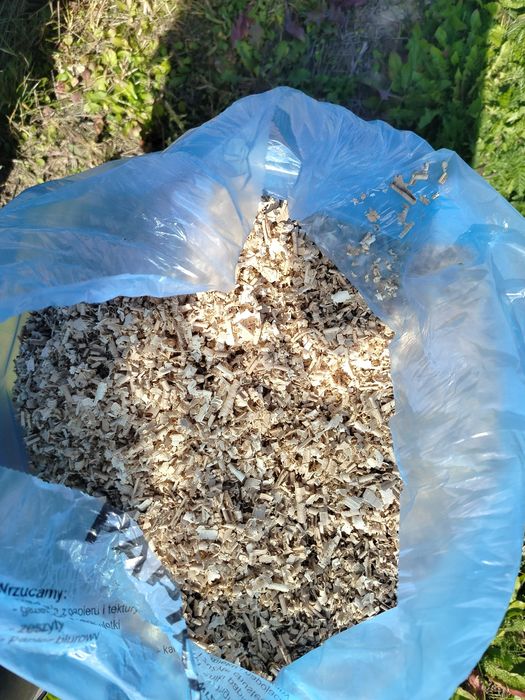 Suche trociny z pod grubościówki