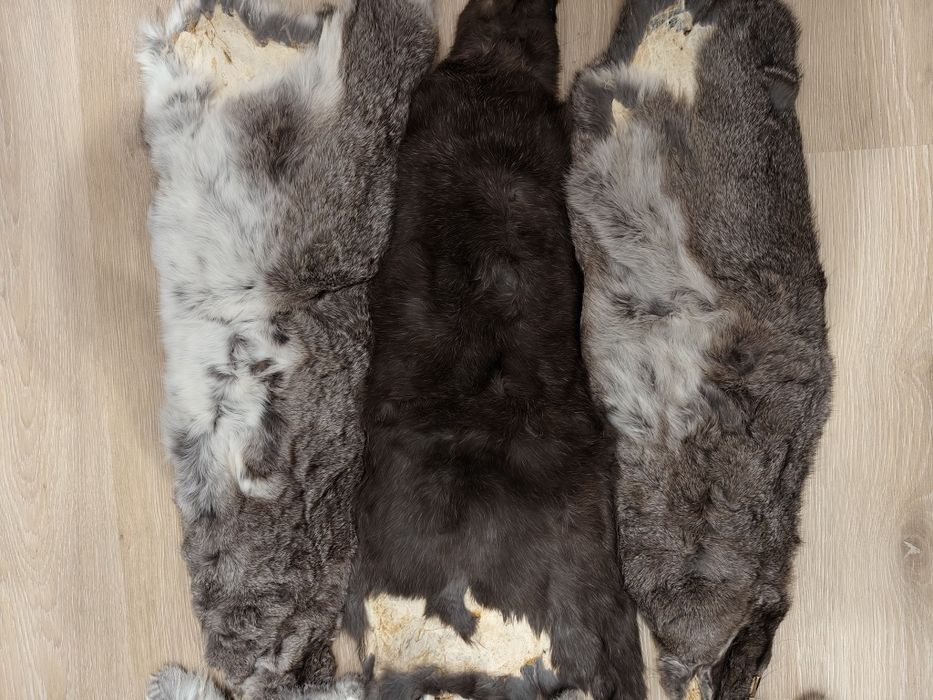 Кролячі шкури 6 штук