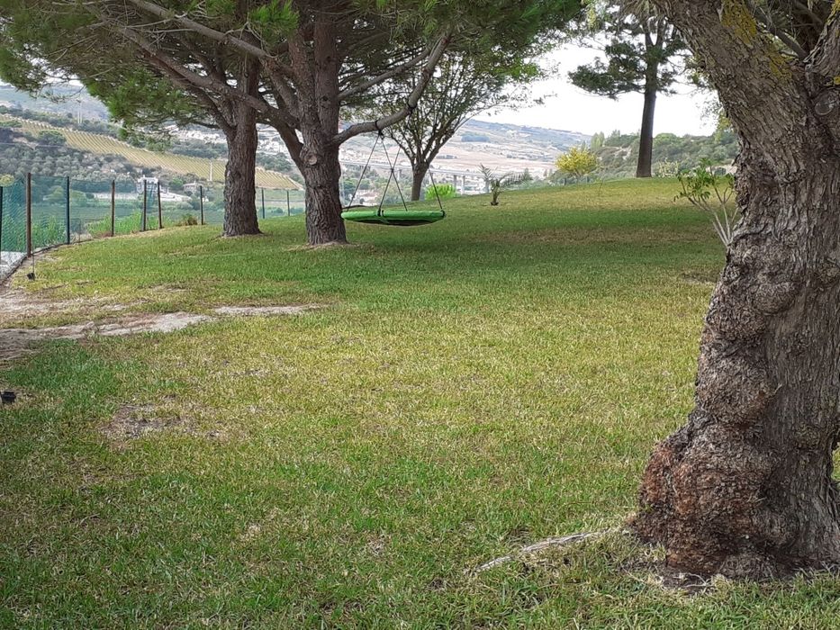 Serviço de jardineiro