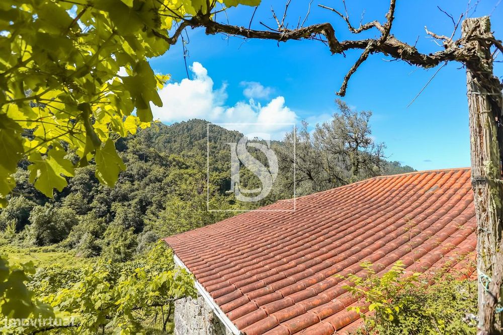 Moradia para Restaurar T2 Venda em Carvalheira,Terras de Bouro